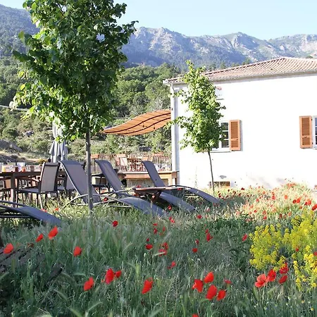 Bed & Breakfast Casa Vanella Casamaccioli