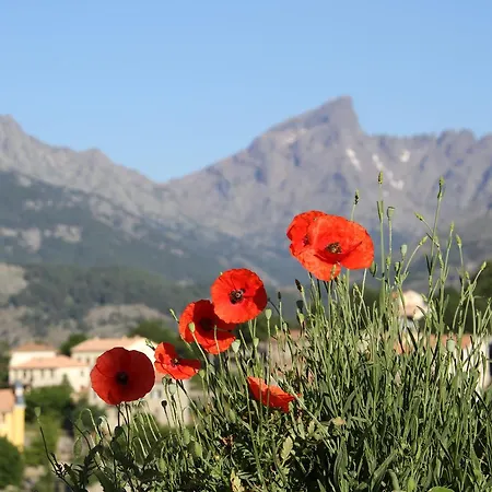Bed & Breakfast Casa Vanella