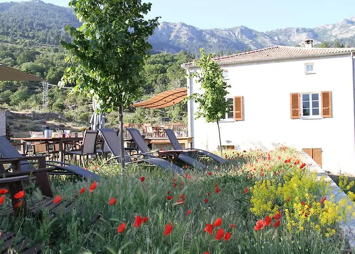 Oda ve Kahvaltı Casa Vanella Casamaccioli