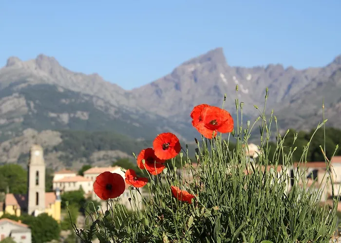 Couette-café Casa Vanella